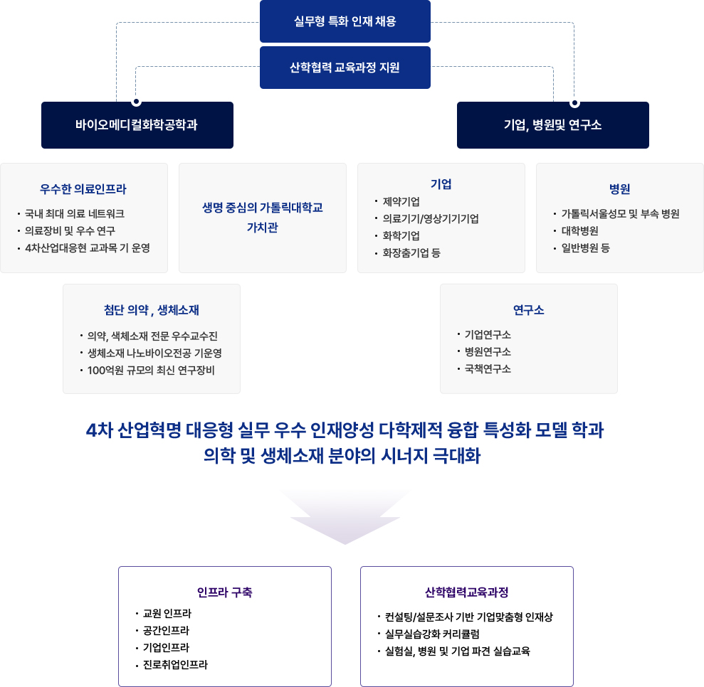 가톨릭대학교 바이오메디컬화학공학과를