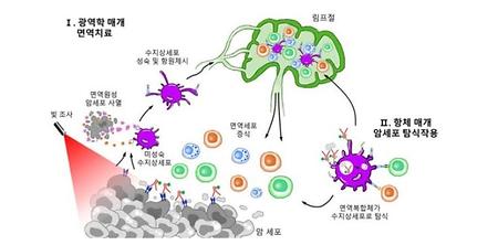 [연구성과] 바이오메디컬화학공학과 나건 교수 연구팀