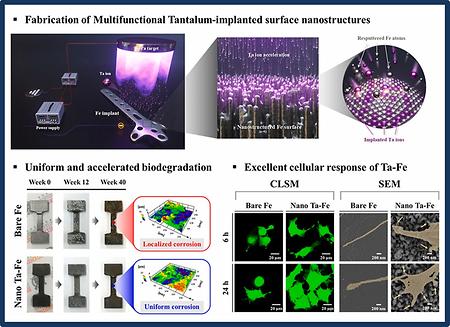 [연구성과] 정현도 교수, 임플란트 분해속도 및 생체친화도 높은 표면처리 기술 개발